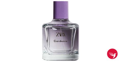 gardenia zara perfume 2021.